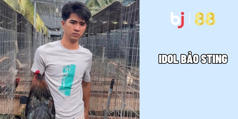 Idol Báo Sting - Chiến Thần Trường Gà Với Những Kèo Đỉnh Cao 2 Hành trình nổi tiếng của Báo Sting khiến các sư kê ngỡ ngàng
