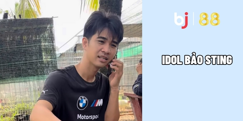 Idol Báo Sting - Chiến Thần Trường Gà Với Những Kèo Đỉnh Cao 3 Báo Sting liên tục thắng lớn khẳng định vị thế thần kê
